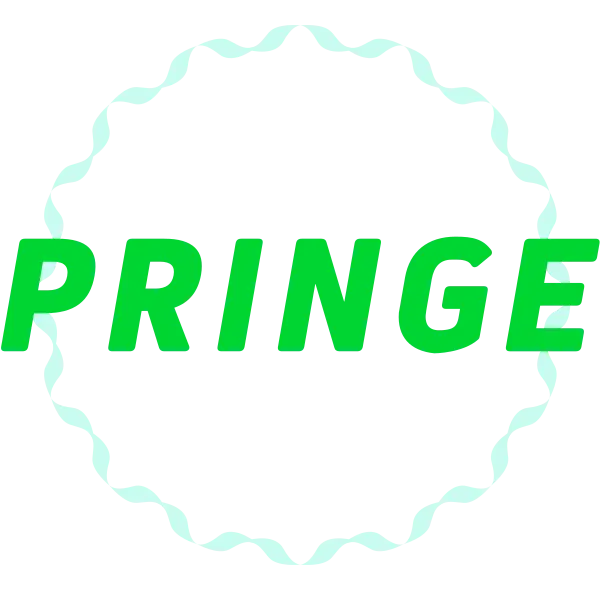 pringe, individuelle Website, digitale Freiheit, Julian Duscha meeting, eigene website, logo